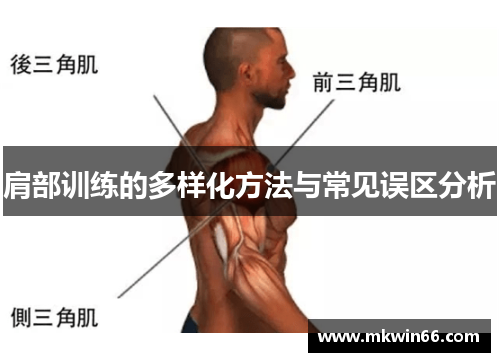 肩部训练的多样化方法与常见误区分析